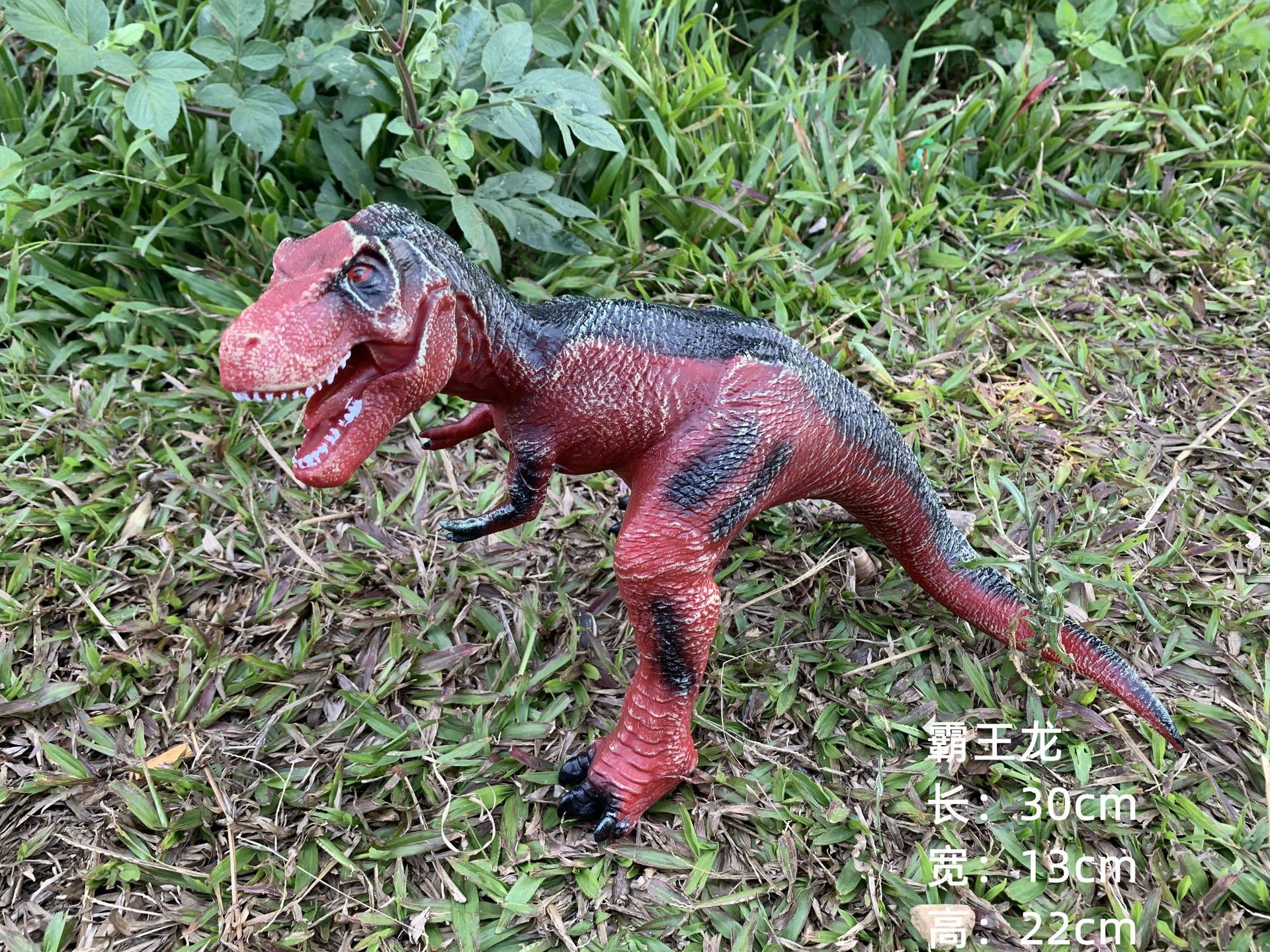 New Chinese Tyrannosaurus Dragon Red