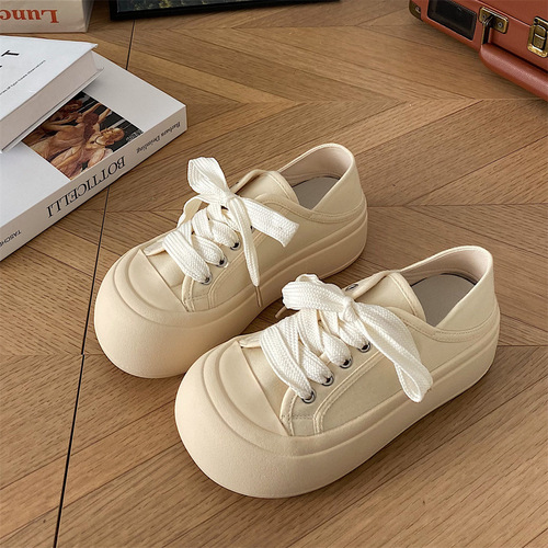 Super popular thick-soled canvas shoes for women  new spring and autumn Hong Kong style student lightweight white shoes versatile board shoes
