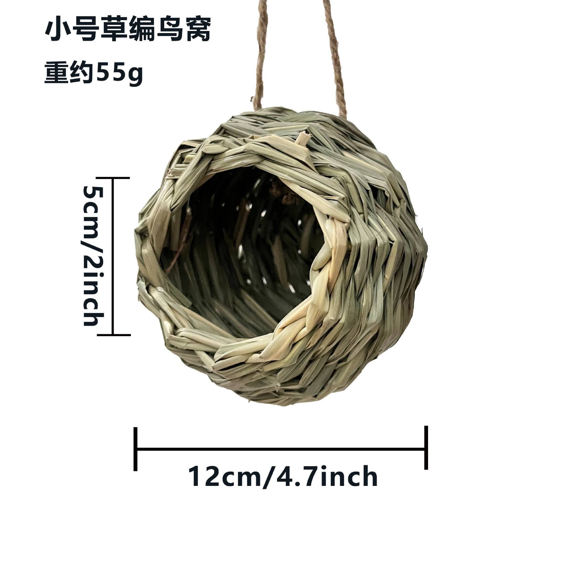 작은 둥근 새 둥지