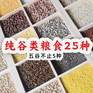 25�N�s�Z��������s�Z�M�ϴּZ���������b�r�҃��|���¼Z