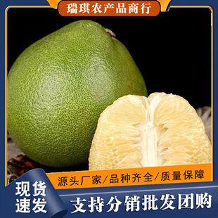 ̩���������rˮ������������Ƥ�������ִ�����𮔼��r���ЋD���]