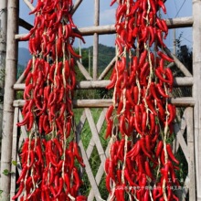 �߲˴����������������r�Ҙ��ͥԺ�b��r����ģ�͒������