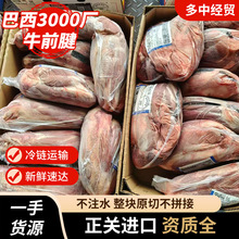 巴西3000厂牛前腱无调理原切牛腱熟食厂面馆卤店用牛肉原料