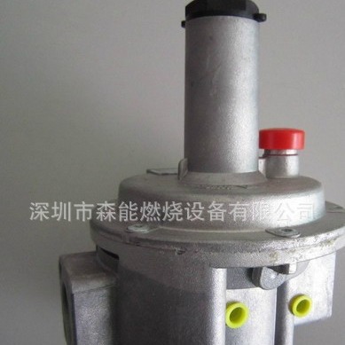 Fiorentini 菲奥311系列燃气过滤器一体型调压器 30154调压阀