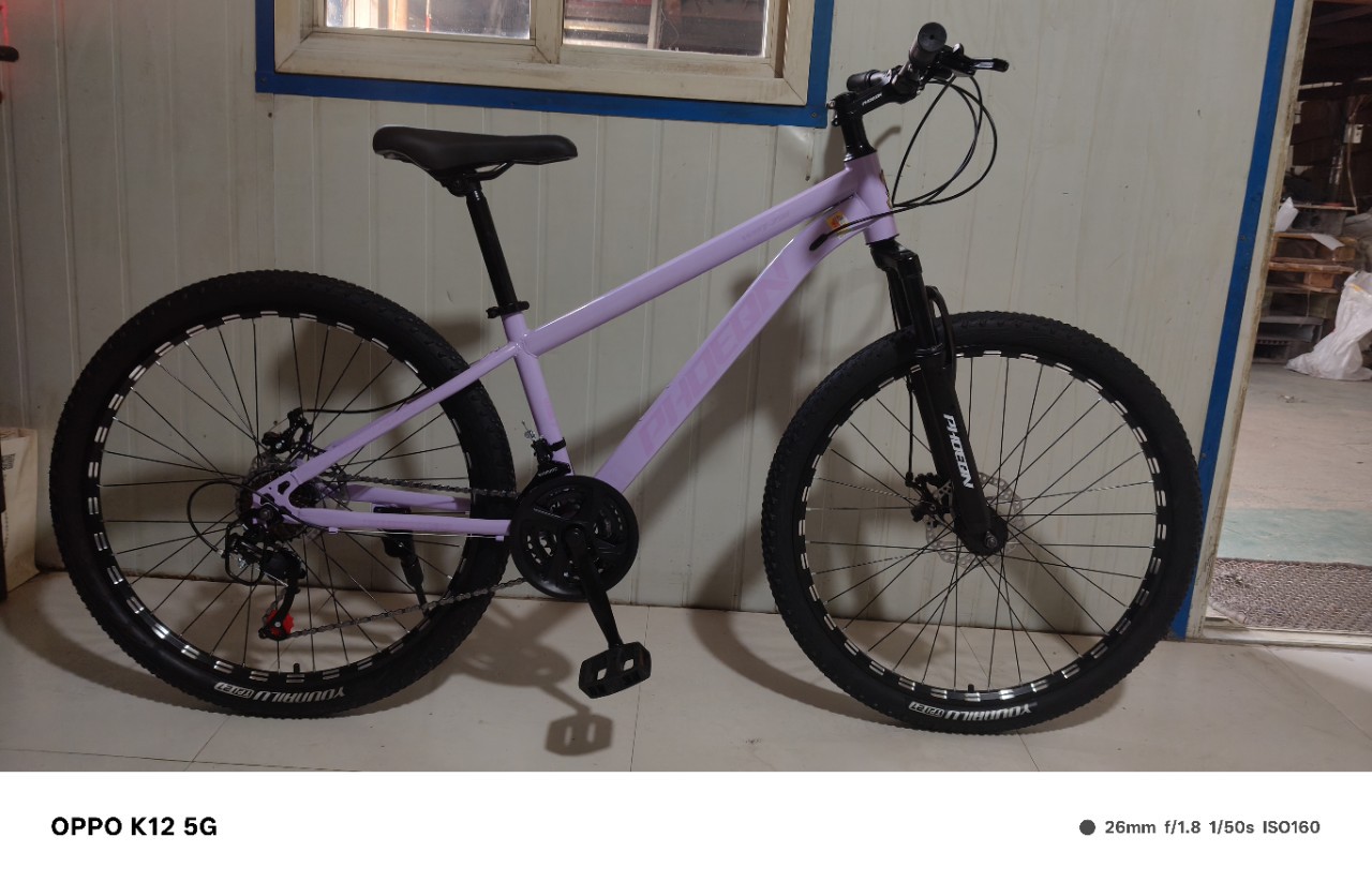 Bicicleta de montaña 24 / 26 pulgadas