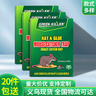 English Mouse Rat Trap Super Powerful Mouse Stickers Wholesale Mouse Board Rodent Killer Foreign Trade Supply Sticky Mouse Board