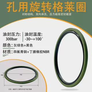 OED孔用旋转格莱圈 3.2/4.2/6.3mm油缸四氟O型活塞密封圈回转油缸
