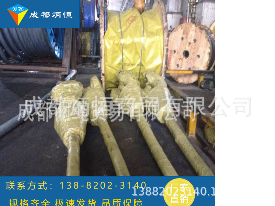 【成都供应】浇铸钢丝绳索具巨力钢绳冷热浇铸索具工地用起重索具