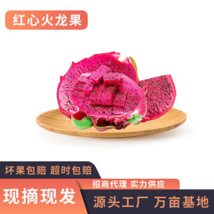 ���ϼt�Ļ����� ��һ̖�t���������Ꭷ���rˮ�����@�Fժ���l
