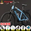 Bike spokes, tires, bike shifter (brake handle), bearing, peacock, 24 inch