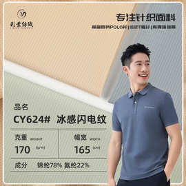 170g闪电纹提花锦纶冰丝面料 肌理感高弹运动面料 春夏速干T恤布