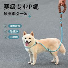 新款便携狗狗P绳P链狗牵引绳中大型犬防爆冲防勒手防打结训练狗绳