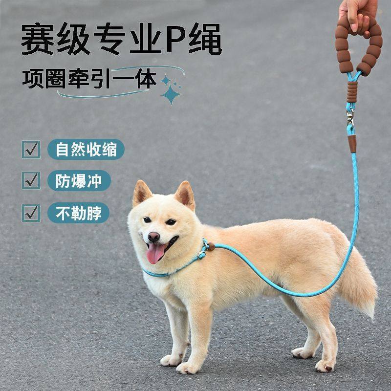 新款便携狗狗P绳P链狗牵引绳中大型犬防爆冲防勒手防打结训练狗绳