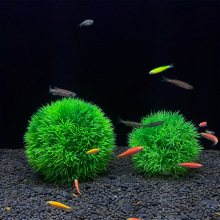 Y 44307 Artificial aquarium plant decoration ��׷���ˮװ