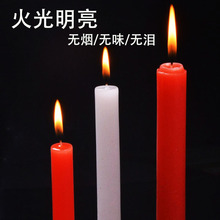 �tϞ�T���ßo���oζͣ늑����������������^���Ϲ�����ȼ����Ϟ�T