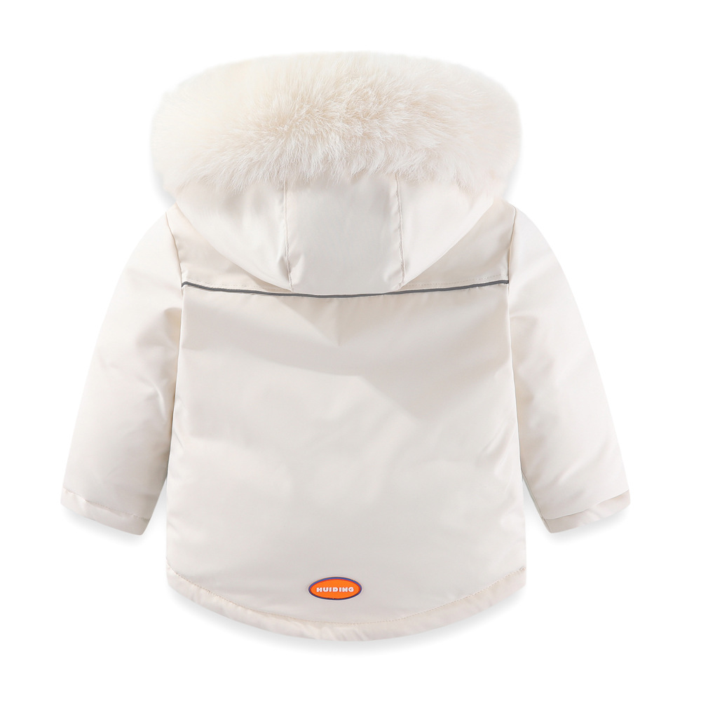 3无水印D25A5008 副本.JPG