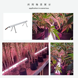 植物生长灯;其他LED系列;其他照明工业