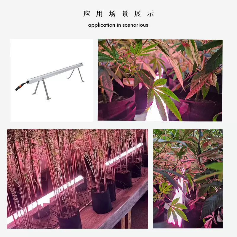 LED全光谱植物灯 补光株间灯 植物生长灯