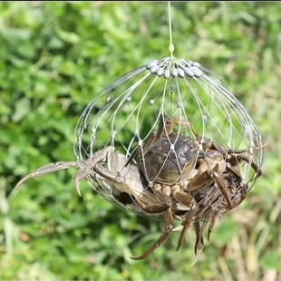 ������䓽z����зץз�\�Ӻ��ú���h���lз�s���ԄӲ�з�U����