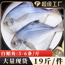 19����K�~5-6�l/�����u�y�K�~С���K�~�r�����K�~���r�������l