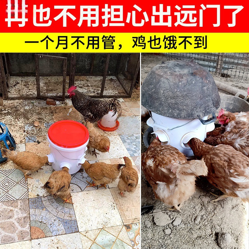喂鸡自动下料器家禽喂食防鸟喂料桶养鸡食鸡鸭鹅自动喂食器|undefined