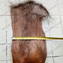棕树皮棕衣棕毛棕榈衣棕丝棕片棕皮装饰绿萝棒椰棕棒茅屋用其他
