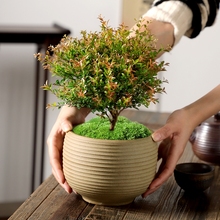 �Ϙ�С�~������ԾGֲ���ܘ����҃ȿ͏d���B���ļ��������^���С