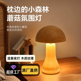 室内壁灯;小夜灯;化妆镜