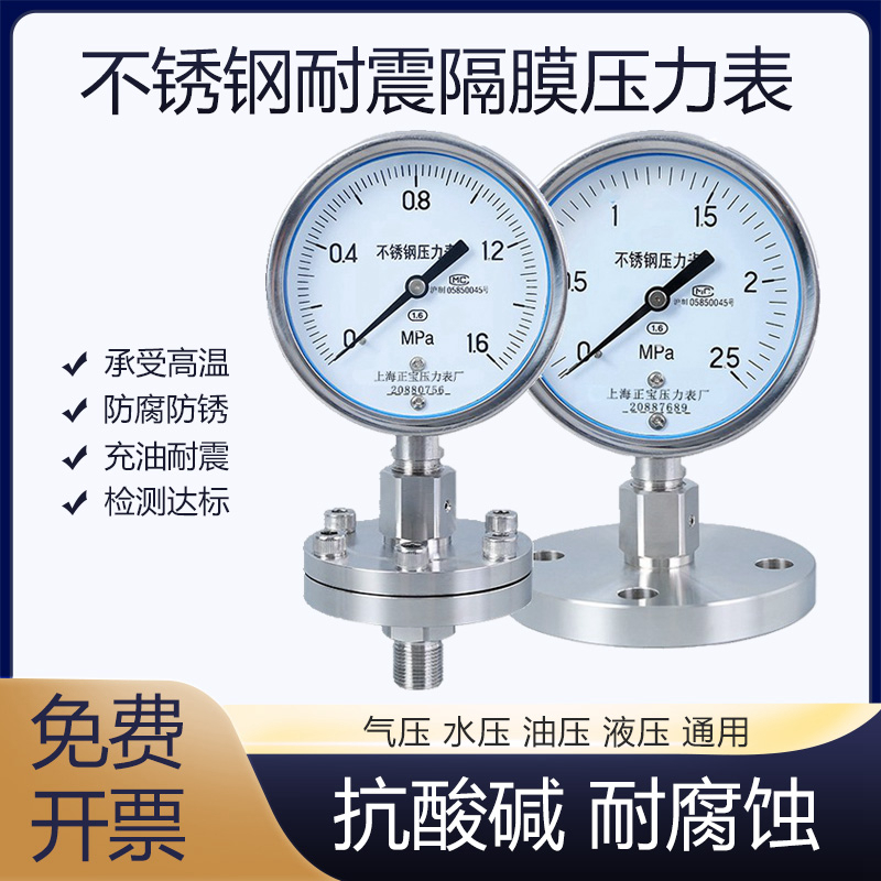 304不锈钢隔膜压力表YNTP100BFML/MF气压油压水压表耐震防腐耐酸