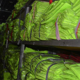 Футболка polo для работы, с услугой печати логотипа, с вышивкой