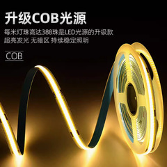 ラインライトLEDライトは、COB低圧高圧24V/12Vのフローライトを持っています。