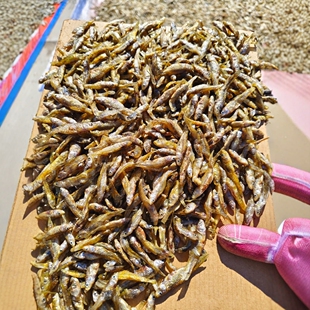 С�~�����ӟo�}�����خaС�s�~���r�ҵ�ˮ�~��؛���~��ը�����~��