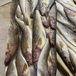 俄罗斯宽突鳕鱼新鲜冷冻深海捕捞整条五斤装厂家批发