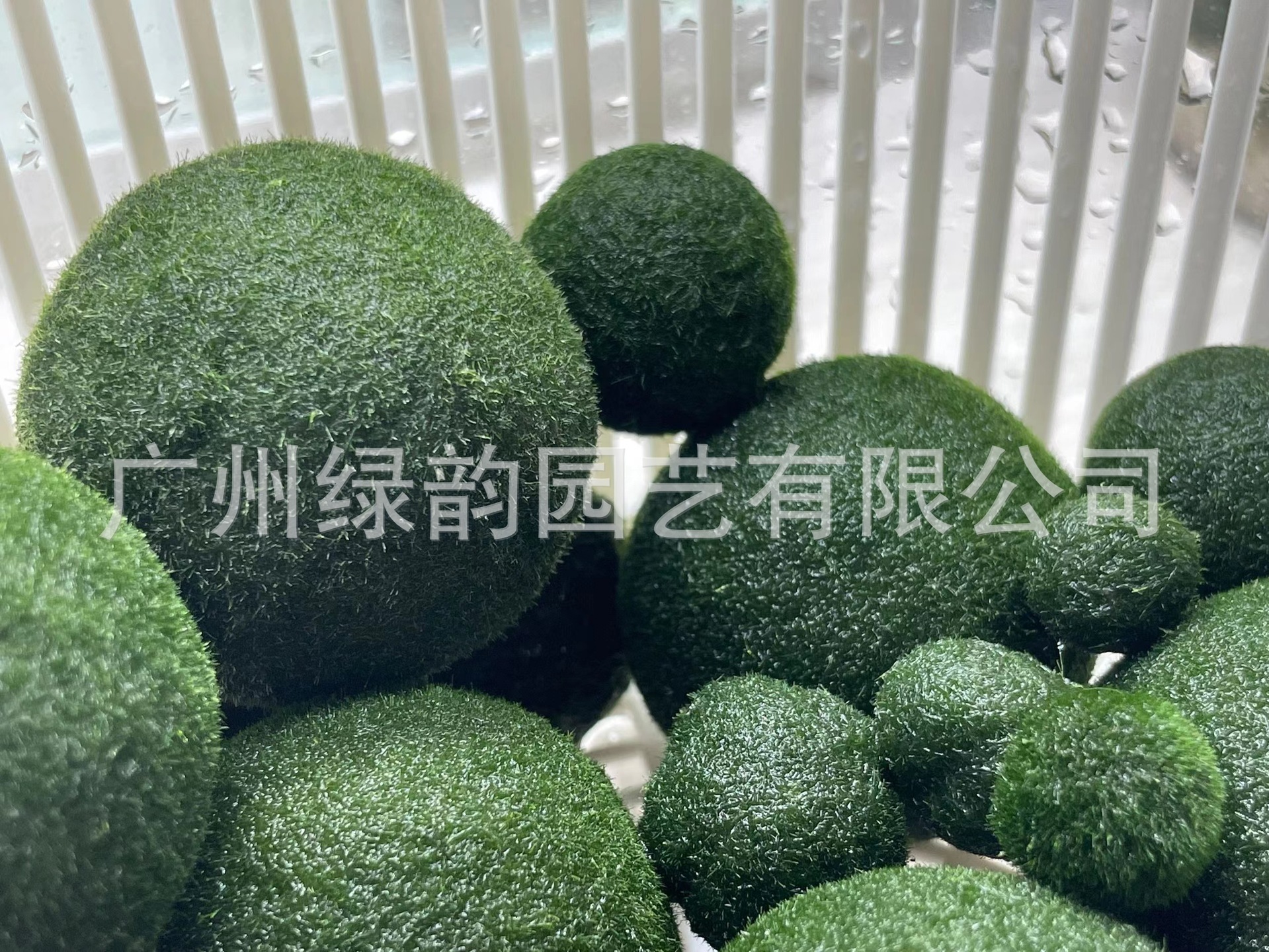 531b32e073e1eae36cf0570e25d8a3