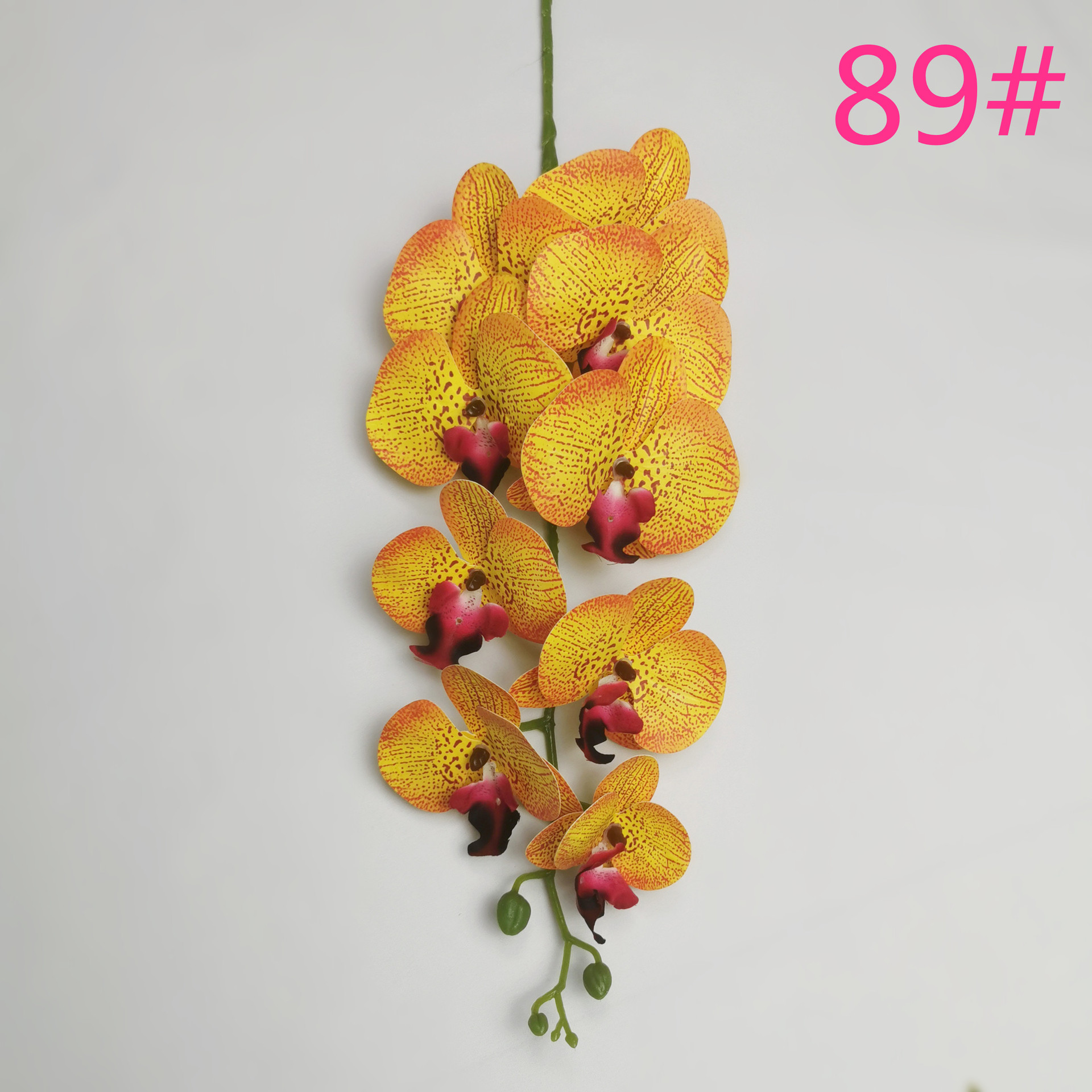 IMG_20220604_183650_副本