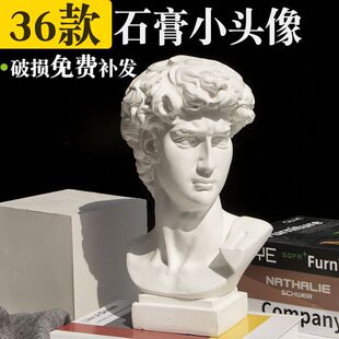Small Plaster Statue of David, Female Venus, Small Plaster Head, Studio Commonly Used Home Decoration Art Ornaments