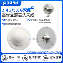 2.4G/5.8G(10DBI)Ģ���^�������쾀·�����W���������Nĸ�^�쾀