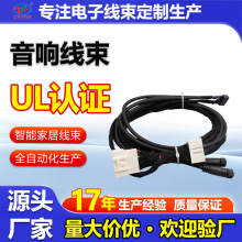源头工厂定制音响线束格多样适用各种汽车加工定制车载音响线束规