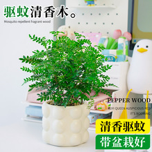 �����������ľ�����Ϙ����w�����ļ��ݾGֲ���辰�k�����������