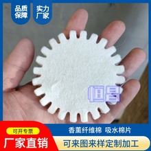 SlwSdƬ ޹ˮޗl ͸]lޮμӹsƬ