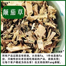 中药材 颠茄草 野生美女草 别拉多娜草 颠茄 野生正品500克