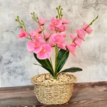 �ݾ������������m��}��©�[�O�͏d������ �Gֲ���Ԕ[���b�Ʒ