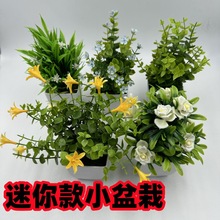 �羳���u�ȼ���С���Է���ֲ���ֲ��Gֲ�҃����b���������