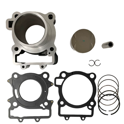 Duke250 Cylinder Piston Ring – Cylinder and parts