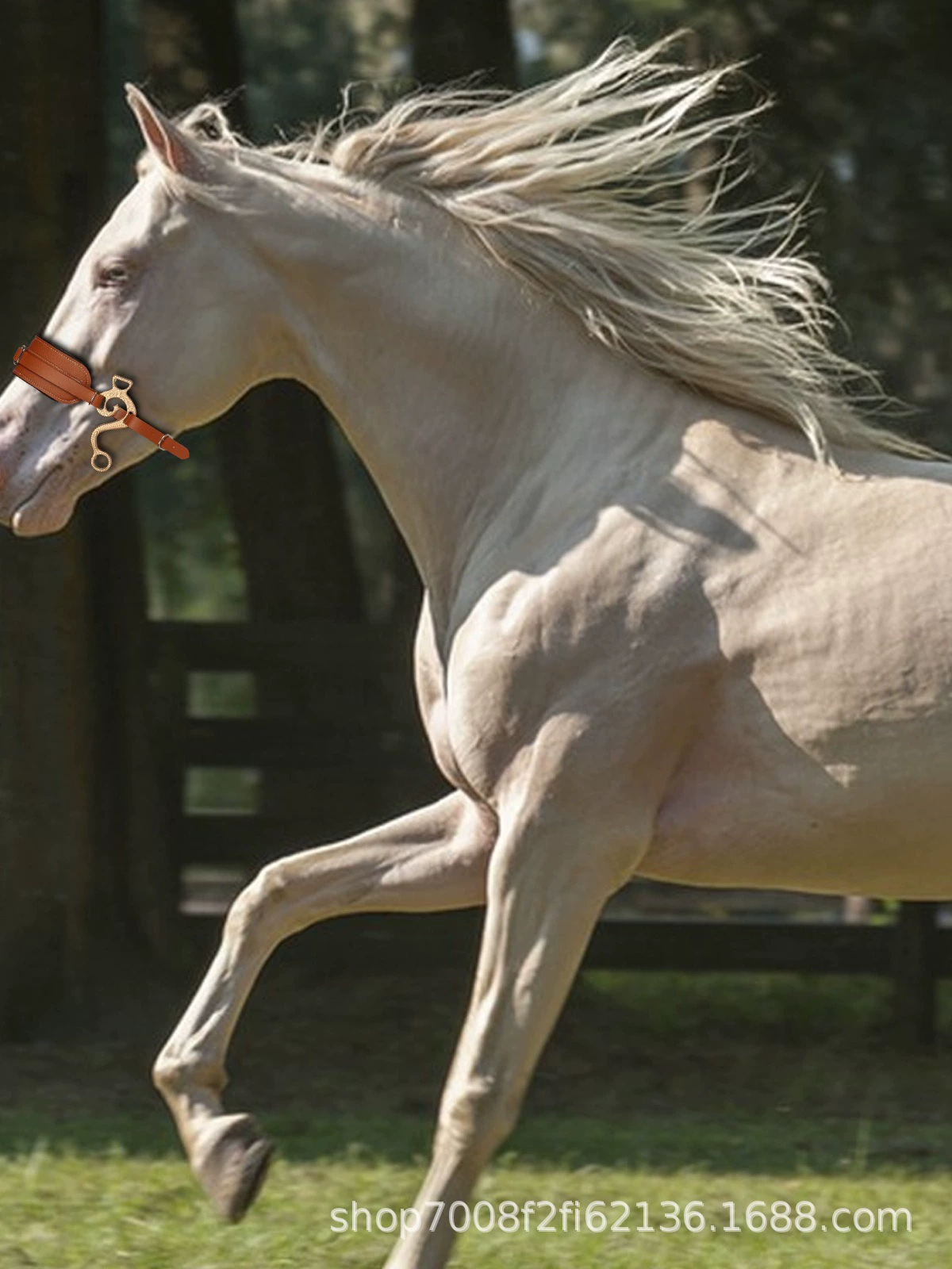 Граница между странами к horsepower tamper конный спорт снаряжение коричневый лошадь - верховая езда кожаное с запада стиль обувь