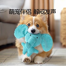 宠物狗狗玩具耐咬磨牙毛绒发声玩具自嗨解闷中小型犬跨境宠物用品