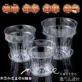 高透明圆形加厚透气塑料桌面壁挂花盆适合蝴蝶兰文心兰阳台