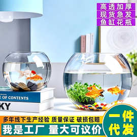 鱼缸小型加厚透明玻璃乌龟缸客厅桌面圆形摆件批发客厅桌面摆设