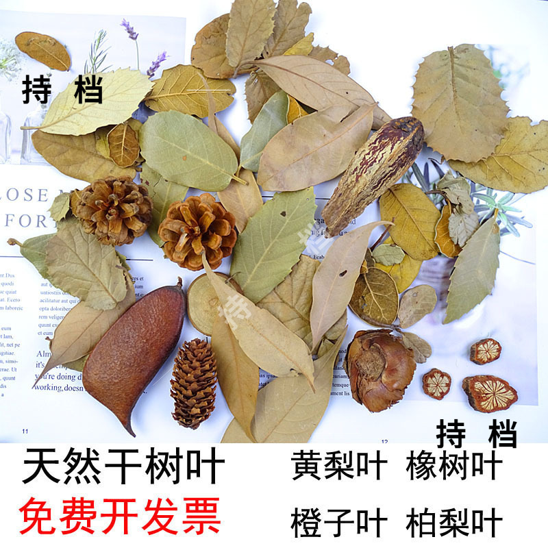 Natural Dried Leaves, Forest Style Retro Decoration, Yellow Pear Leaves, Cypress Pear Leaves, Handmade Specimen Making Materials, DIY Dead Leaves