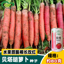 ����ؐ��ˮ�����}���N�� õ�t���}���� ������ �͟����ﲥ�߲�